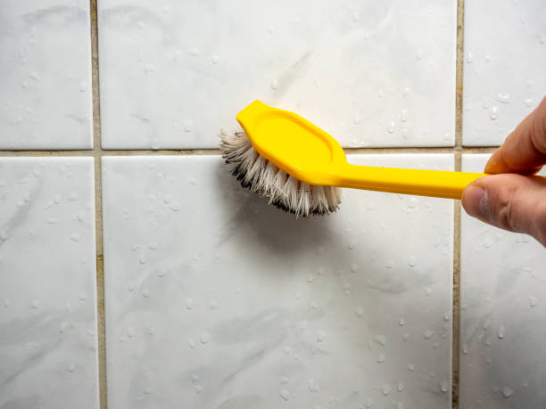 Best Same-Day Mold Removal  in Millers Falls, MA